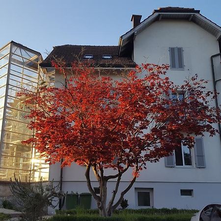 Casa Carmela Hotel Solothurn Buitenkant foto